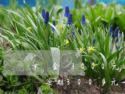 京東金條3000元逾期365天-京東金條逾期300多元一個月會上門嗎