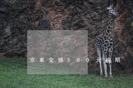 京東金條500元逾期