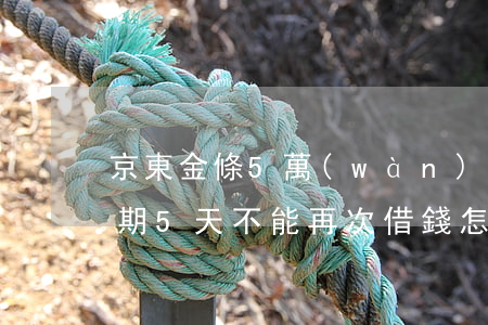 京東金條5萬(wàn)逾期了(京東金條逾期5天不能再次借錢怎么辦)