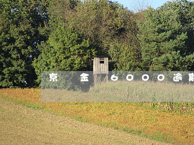 京東金條6000逾期利息多少-