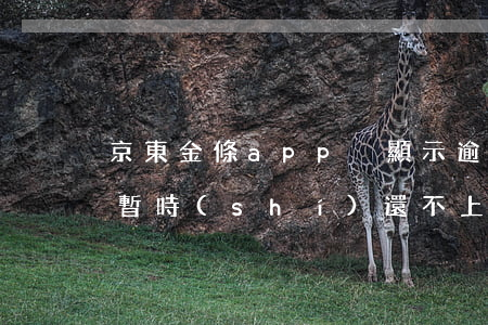 京東金條app沒顯示逾期(京東金條逾期了暫時(shí)還不上有什么辦法)
