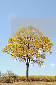 京東金條三日內(nèi)還款會(huì)不會(huì)上征信-京東金條三日內(nèi)還款會(huì)不會(huì)上征信記錄