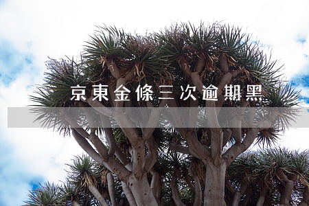 京東金條三次逾期黑