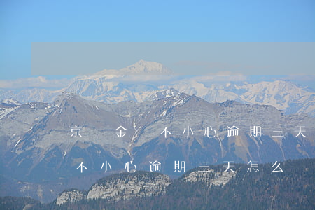 京東金條不小心逾期三天怎么辦-京東金條不小心逾期三天怎么辦呢