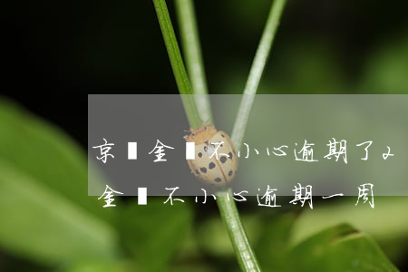 京東金條不小心逾期了2天會有影響嗎（京東金條不小心逾期一周）