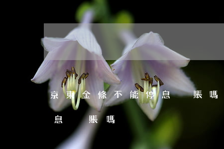 京東金條不能停息掛賬嗎(京東白條金條能停息掛賬嗎)