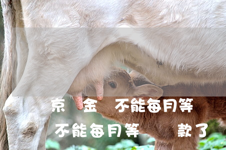 京東金條不能每月等額還款了嗎-京東金條不能每月等額還款了嗎怎么辦