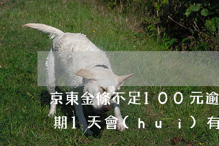 京東金條不足100元逾期一天 京東金條逾期1天會(huì)有影響嗎?京東金條逾期攻略!
