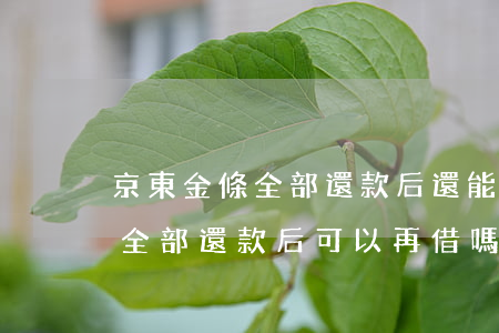 京東金條全部還款后還能再借么-京東金條全部還款后可以再借嗎