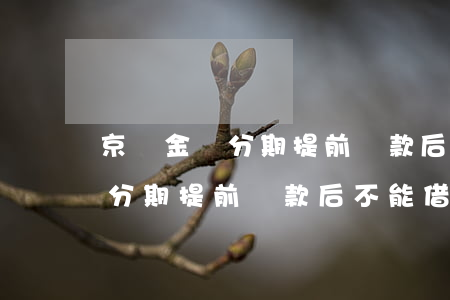 京東金條分期提前還款后不能借-京東金條分期提前還款后不能借了