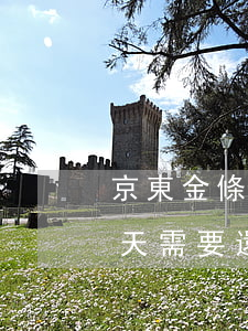 京東金條分期逾期8天 京東金條分期逾期5天需要還全款嗎