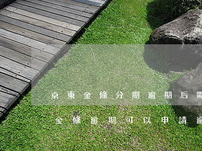 京東金條分期逾期后需要一次性還清嗎?（京東金條逾期可以申請逾期分期嗎）