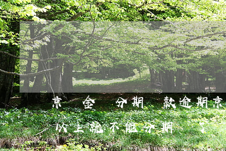 京東金條分期還款逾期(京東金條違約15天以上就不能分期還了嗎)