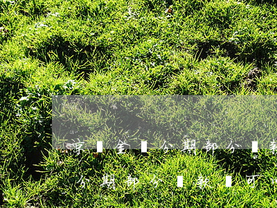 京東金條分期部分還款還可以嗎-京東金條分期部分還款還可以嗎安全嗎