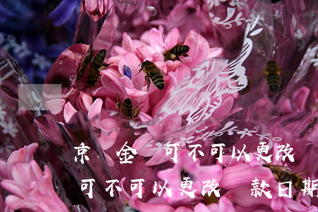 京東金條可不可以更改還款日期-京東金條可不可以更改還款日期和時(shí)間