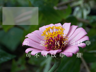 京東金條可不可以申請推遲還款-京東金條可不可以申請推遲還款呢