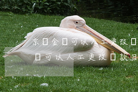 京東金條可以人工更改還款日期嗎-京東金條可以人工更改還款日期嗎安全嗎