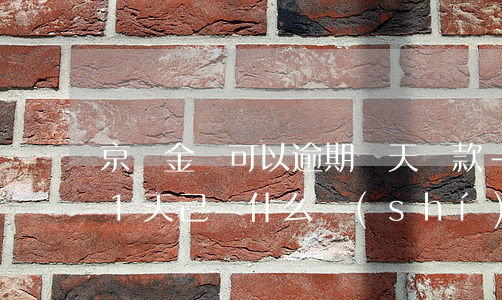 京東金條可以逾期幾天還款-京東金條逾期1天,己還,什么時(shí)候能恢復(fù)正常使用