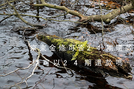 京東金條可否24期還款怎么算息-京東金條可以24期還款嗎