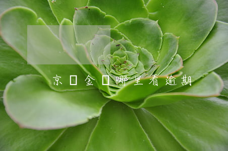 京東金條哪里看逾期