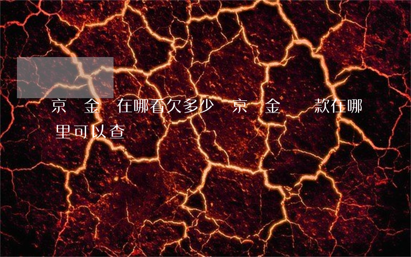 京東金條在哪看欠多少錢(京東金條還款在哪里可以查)