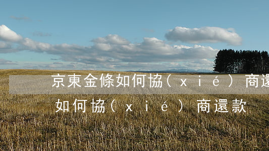 京東金條如何協(xié)商還款(京東金條如何協(xié)商還款)