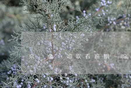 京東金條如歌看逾期-京東金條如歌看逾期