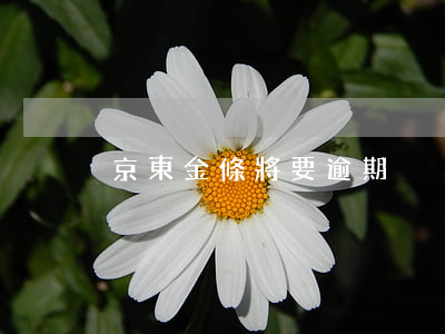 京東金條將要逾期