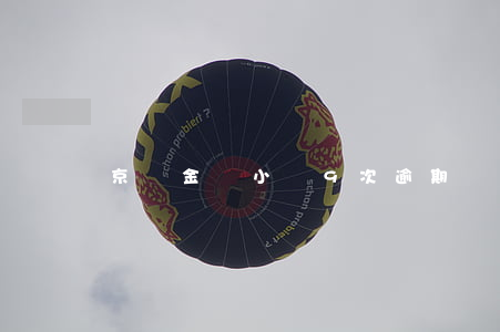 京東金條小額9次逾期