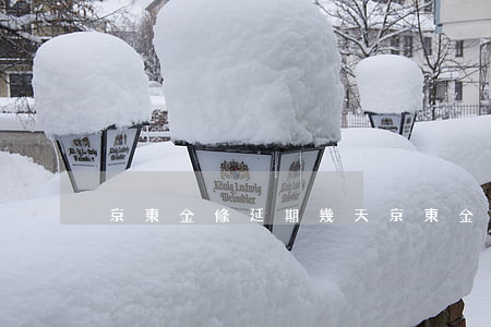 京東金條延期幾天（京東金采延期算逾期嗎）