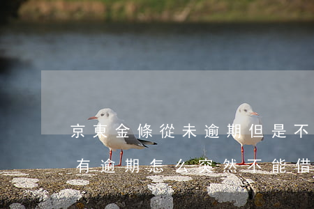 京東金條從未逾期但是不能借了(京東金條沒有逾期怎么突然不能借錢了)