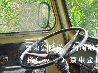 京東金條從沒有逾期為什么暫時不能提供服務(wù)（京東金條無逾期被關(guān)閉）