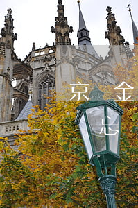 京東金條忘還了逾期兩天上征信不-京東金條忘還了逾期兩天上征信不上征信