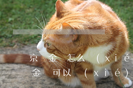 京東金條怎么協(xié)商二次分期(京東金條可以協(xié)商分期嗎)