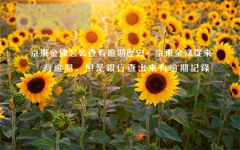 京東金條怎么查看逾期歷史-京東金條從來沒有逾期、但是銀行查出來有逾期記錄