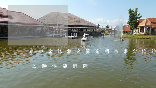 京東金條怎么算逾期(京東金條的逾期記錄什么時候能消除)