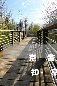 京東金條怎么關(guān)閉還款短信通知-京東金條怎么關(guān)閉還款短信通知呢