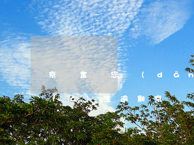 京東金條您當(dāng)前賬戶暫未發(fā)生逾期(京東沒有逾期金條抱歉暫時(shí)無(wú)法為您提供借款服務(wù))