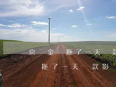 京東金條拖了一天還款影響信用嗎-京東金條拖了一天還款影響信用嗎怎么辦