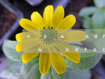 京東金條按時還款借不出怎么回事-京東金條按時還款借不出怎么回事兒