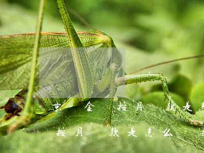 京東金條按月還款是怎么計算的-京東金條按月還款是怎么計算的呢