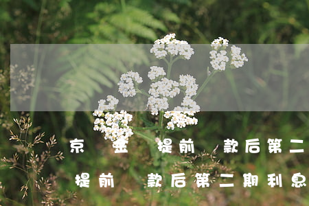 京東金條提前還款后第二期利息-京東金條提前還款后第二期利息怎么算