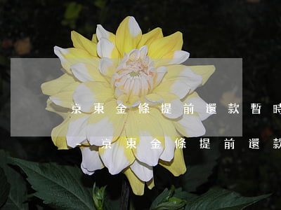 京東金條提前還款暫時不提供服務(wù)-京東金條提前還款暫時不提供服務(wù)怎么辦
