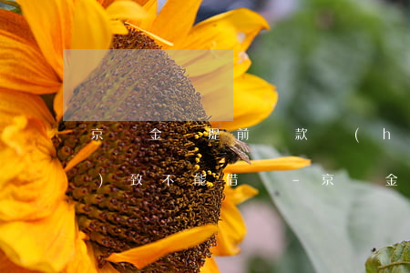 京東金條提前還款會(huì)導(dǎo)致不能借嗎-京東金條提前還款會(huì)導(dǎo)致不能借嗎