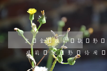 京東金條提前還款會影響信用嗎-京東金條提前還款會影響信用嗎