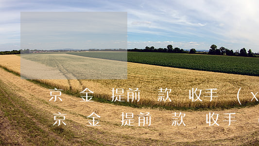 京東金條提前還款會收手續(xù)費嗎-京東金條提前還款會收手續(xù)費嗎安全嗎
