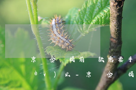 京東金條提前還款需要手續(xù)費(fèi)么-京東金條提前還款需要手續(xù)費(fèi)么嗎