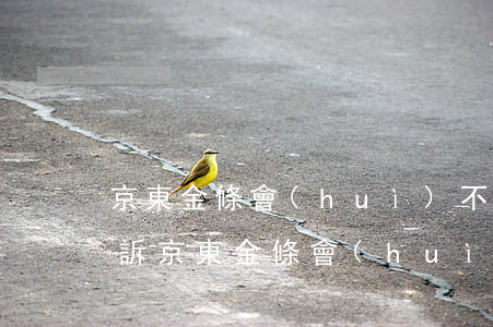 京東金條會(huì)不會(huì)被起訴(京東金條會(huì)不會(huì)被起訴)