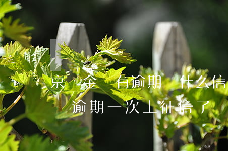 京東金條有逾期為什么信用分沒降-京東金條逾期一次上征信了,還能貸房貸嗎?