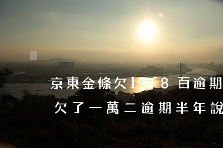 京東金條欠1千8百逾期有何后果(京東金條欠了一萬二逾期半年說起訴我)
